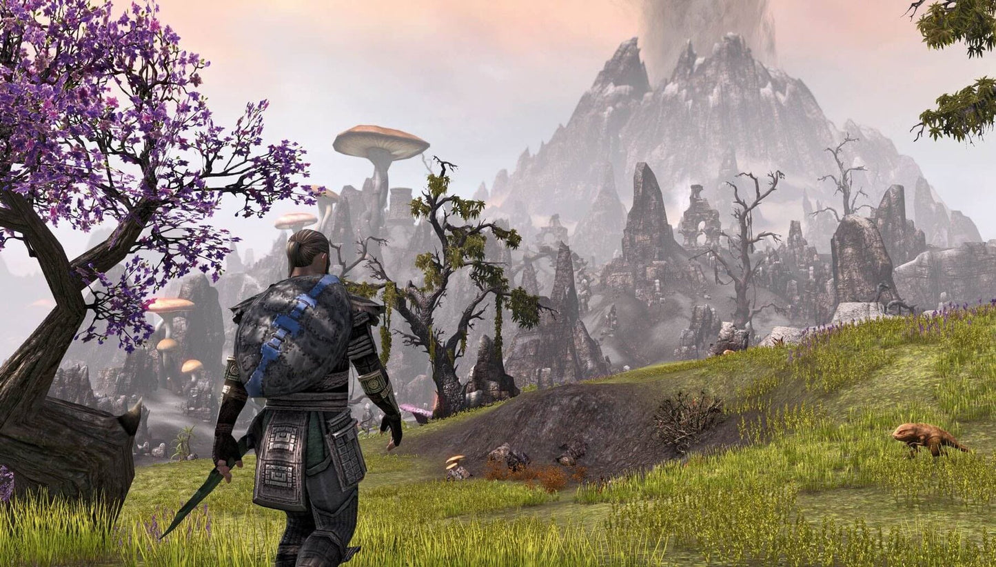 PlayStation 4 - The Elder Scrolls Online: Tamriel Unlimited