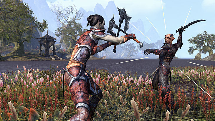 PlayStation 4 - The Elder Scrolls Online: Tamriel Unlimited